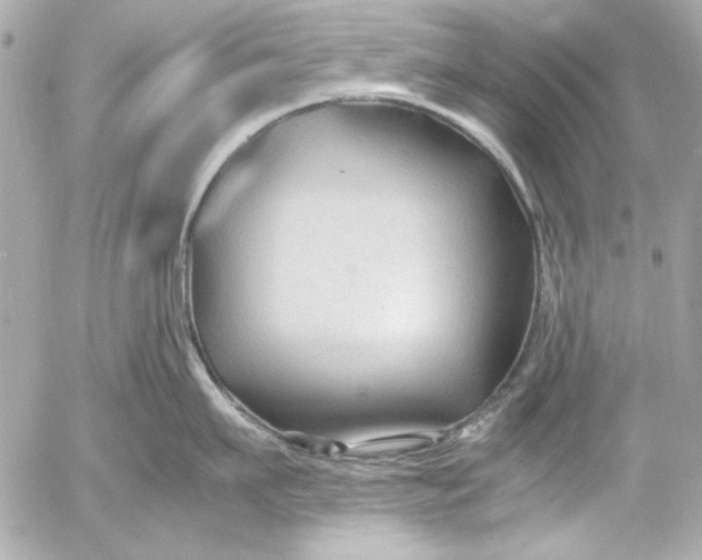 X0000054470911200508191724