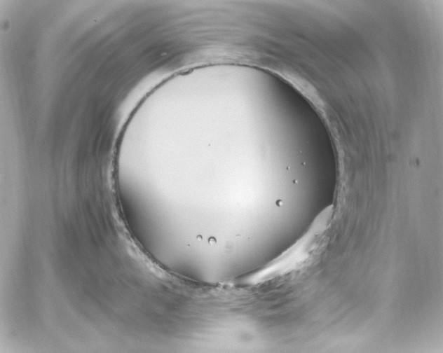 X0000054470912200508191724