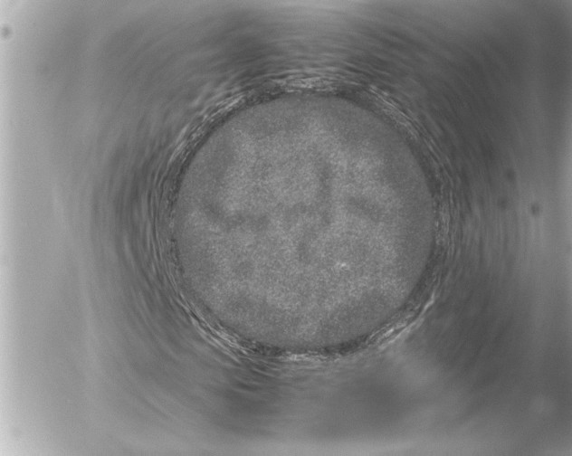 X0000054470913200508191724