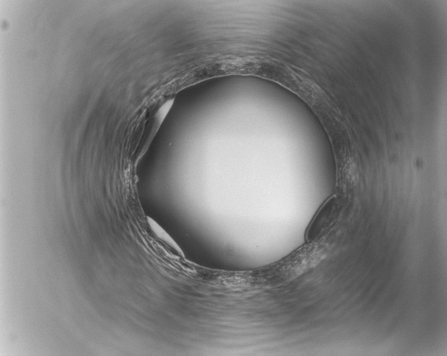 X0000054470914200508191724