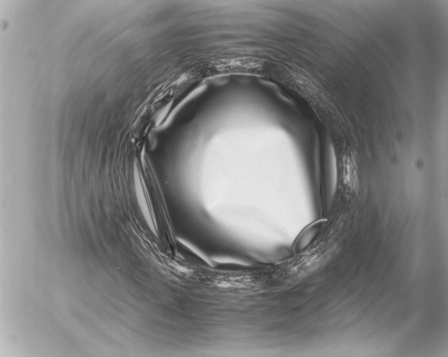 X0000054470915200508191724