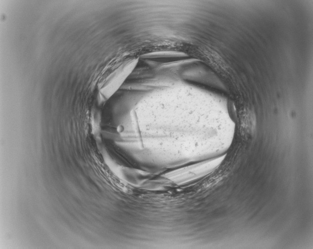 X0000054470916200508191724