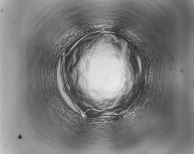 X0000054470917200508191724