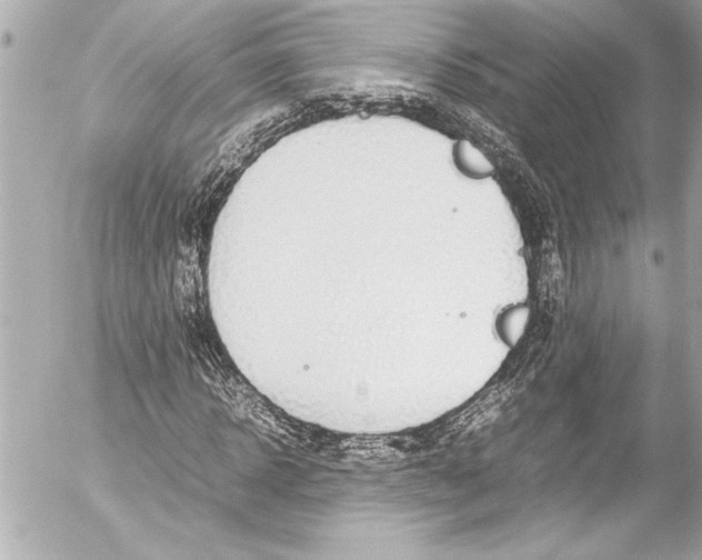 X0000054470918200508191724