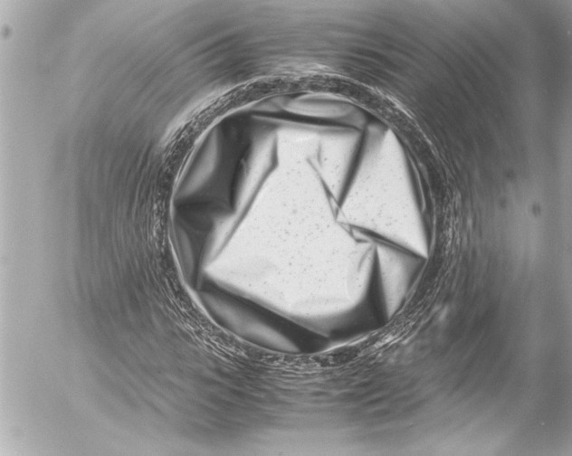 X0000054470919200508191724