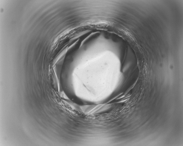 X0000054470920200508191724