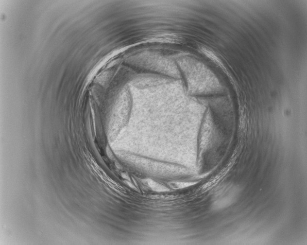 X0000054470923200508191724