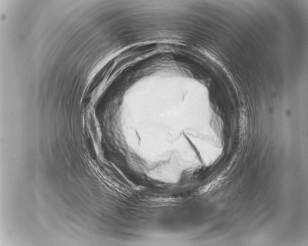 X0000054470925200508191724