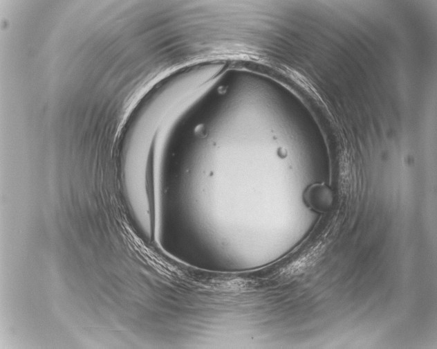 X0000054470926200508191724