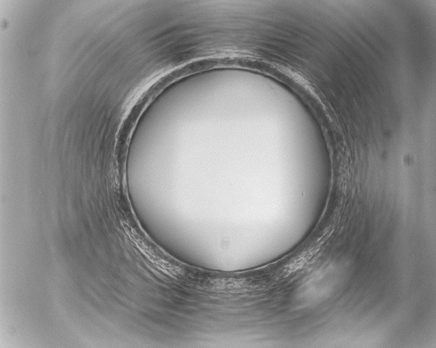 X0000054470927200508191724