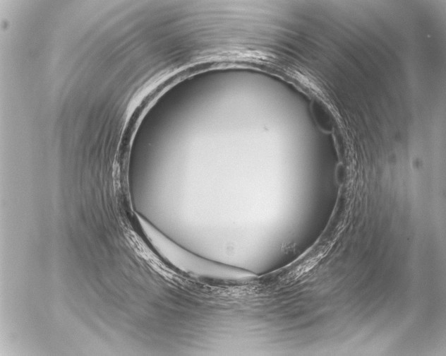 X0000054470928200508191724