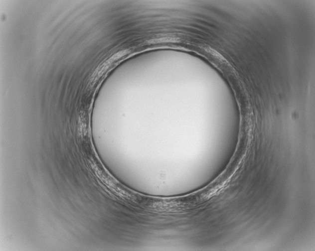 X0000054470929200508191724