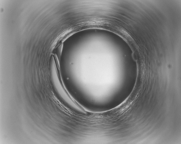 X0000054470930200508191724