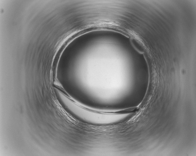 X0000054470932200508191724