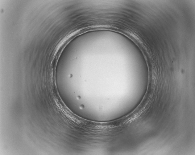 X0000054470933200508191724