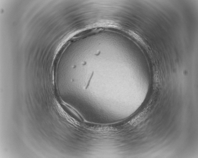 X0000054470934200508191724