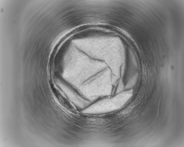 X0000054470935200508191724