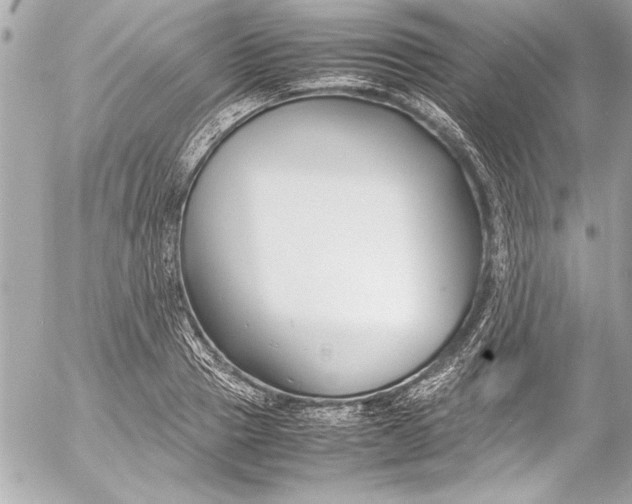 X0000054470937200508191724