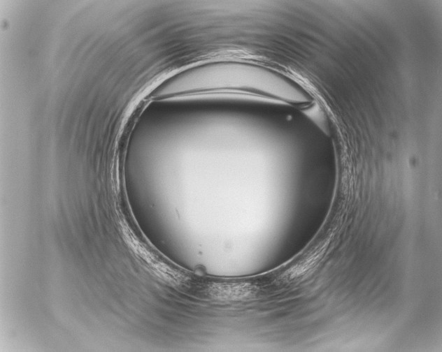 X0000054470939200508191724