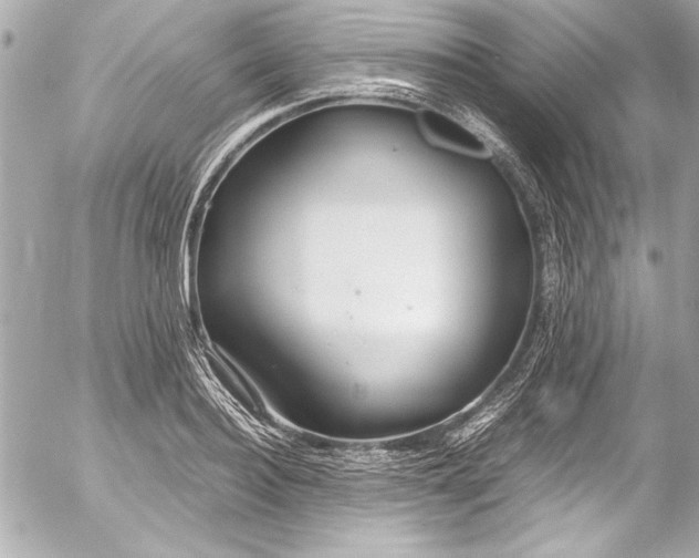 X0000054470940200508191724