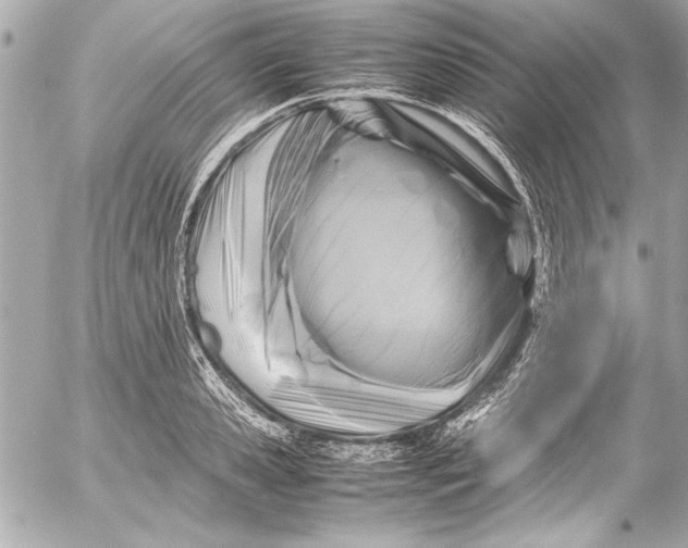 X0000054470941200508191724