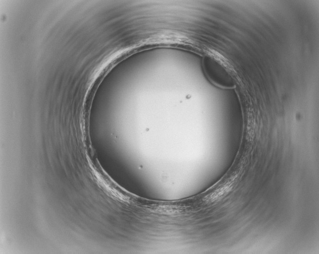 X0000054470942200508191724