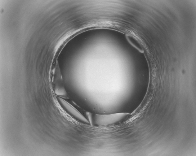 X0000054470944200508191724