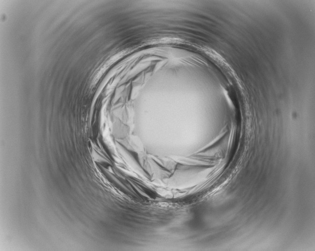 X0000054470945200508191724