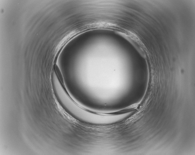 X0000054470946200508191724