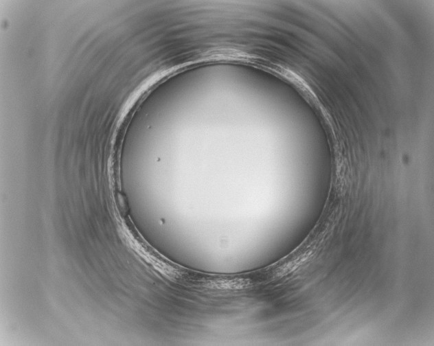 X0000054470947200508191724