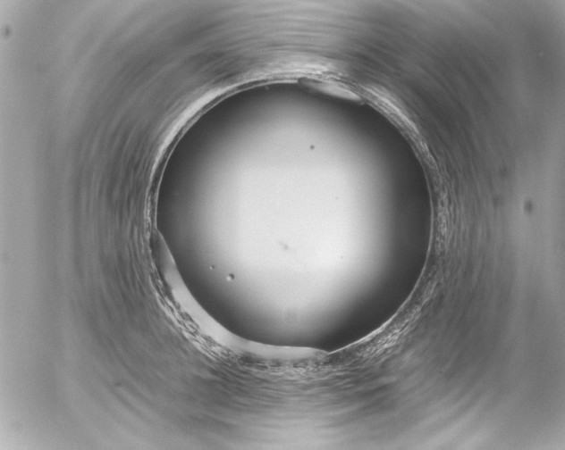 X0000054470948200508191724