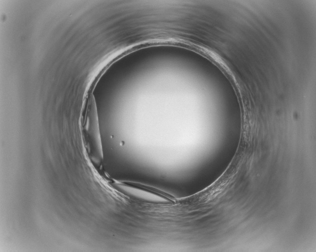 X0000054470951200508191724