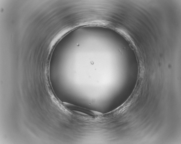 X0000054470952200508191724