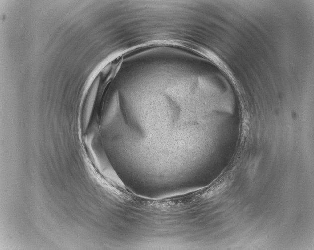 X0000054470955200508191724