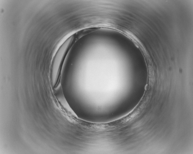 X0000054470956200508191724