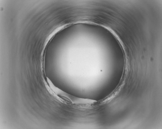 X0000054470957200508191724