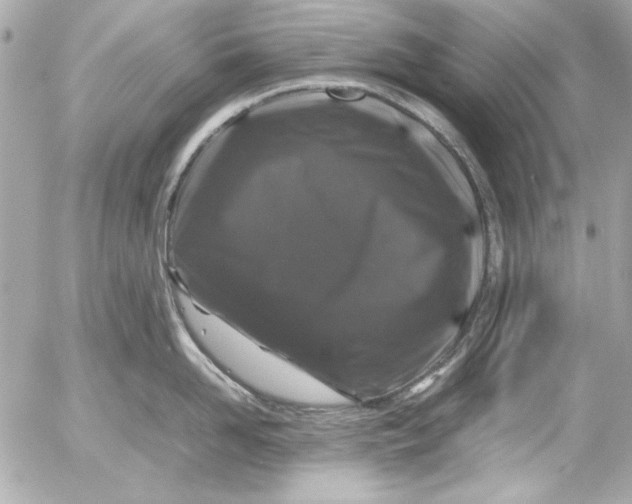 X0000054470958200508191724