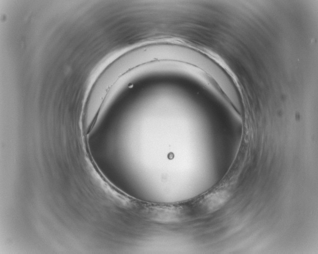 X0000054470959200508191724