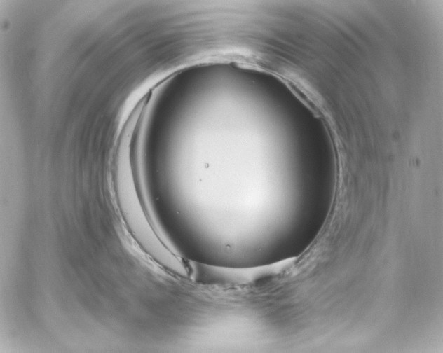 X0000054470960200508191724