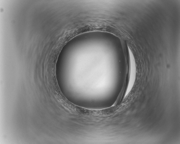 X0000054470961200508191724