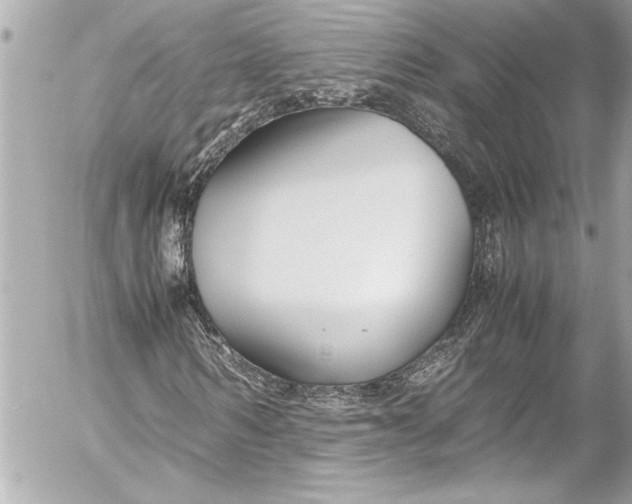 X0000054470962200508191724