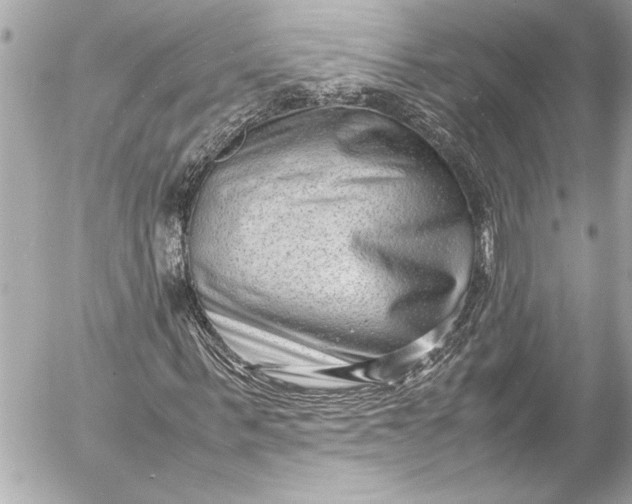 X0000054470963200508191724