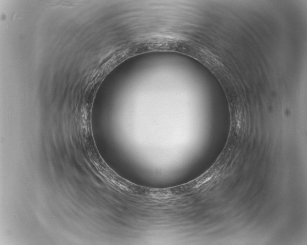 X0000054470964200508191724