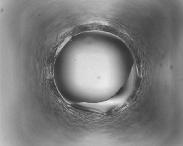 X0000054470965200508191724