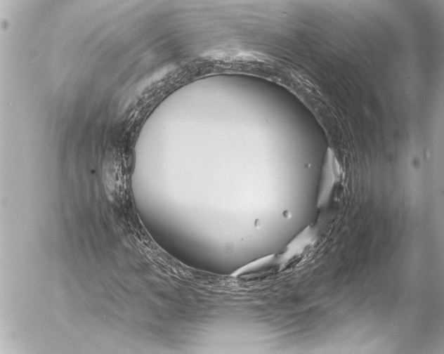 X0000054470966200508191724