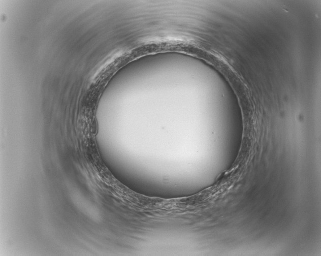 X0000054470967200508191724