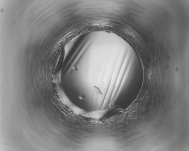 X0000054470968200508191724