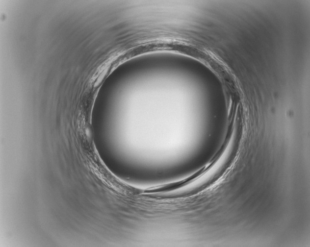 X0000054470969200508191724