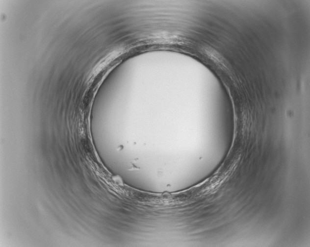 X0000054470970200508191724