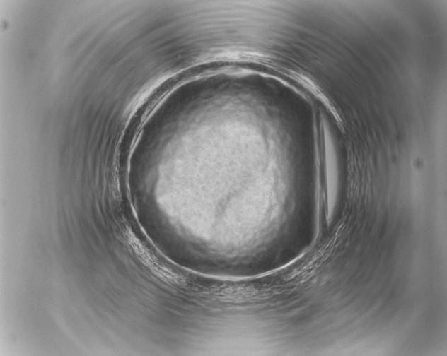 X0000054470972200508191723